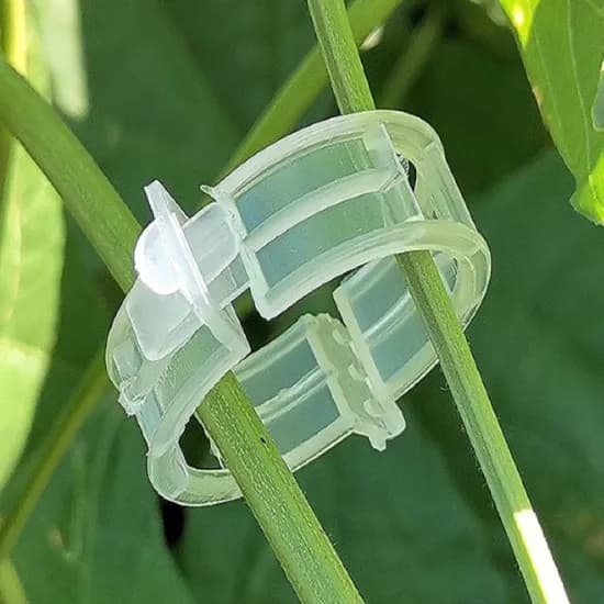 식물 나무 가지고정클립 투명 0.7x0.3cm 10개