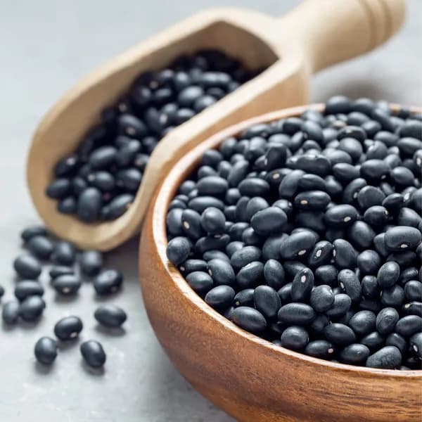 국내산 서리태 속청 검은콩 500g