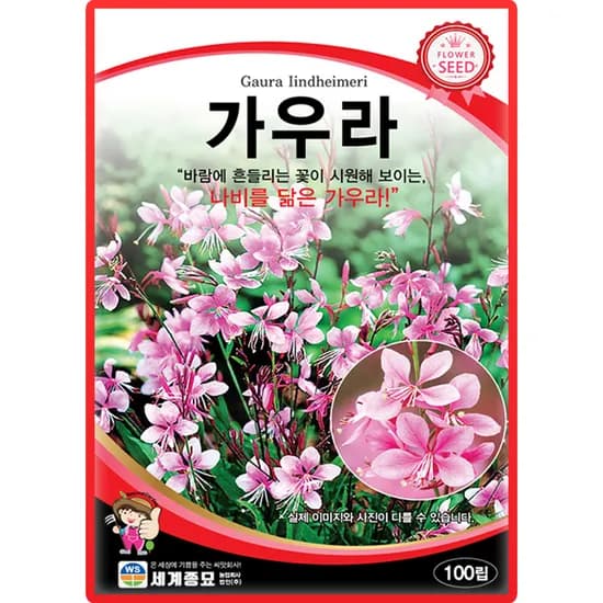 세계종묘 가우라 100립 1개
