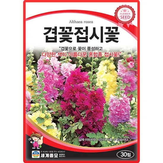 세계종묘 겹꽃접시꽃 스프링셀러브리티즈 혼합종, 30립, 1개