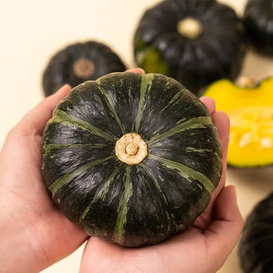 제주 미니밤호박 보우짱, 로얄과, 고영양, 5kg, 8-24개, 1박스