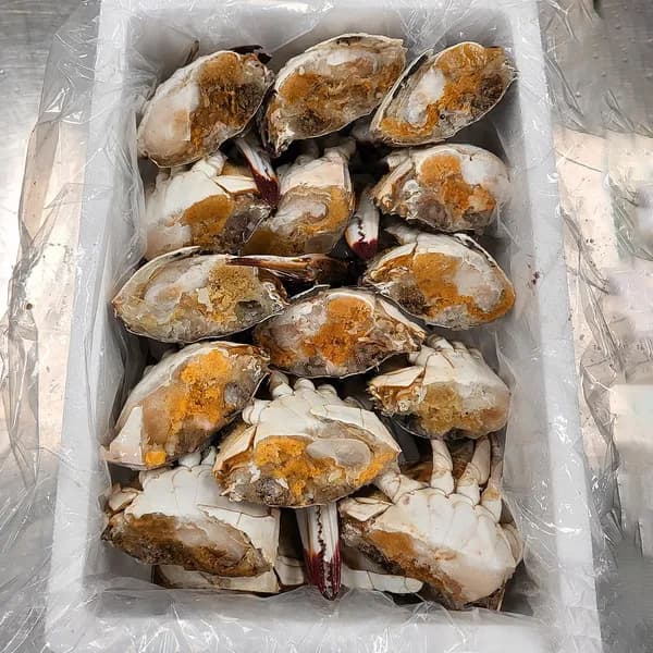 늘푸른 연평도 급냉 하프절단 암꽃게 4kg 24-40조각 1팩 49,490원