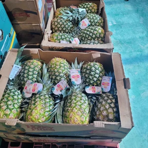 필리핀 파인애플 특 2.2kg 내외 1통