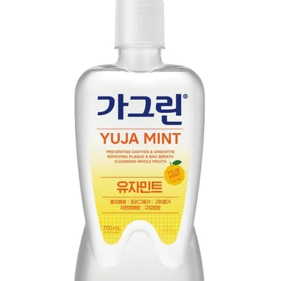 동아제약 가그린 유자민트, 750ml, 2개
