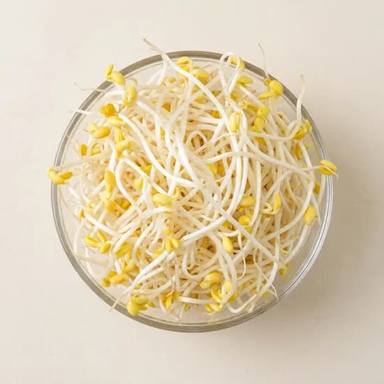 꼬부린 콩나물 1kg 1박스 4,600원