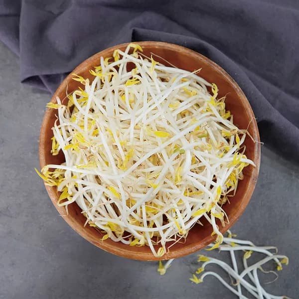 숙주나물 1kg 1박스 5,200원