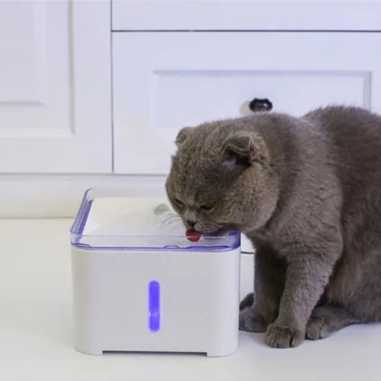 스퀘어 펫 정수기, 화이트, 2L, 1개