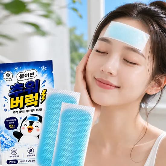 퓨이먼 추워버럭 붙이는 열냉각 아이스 쿨링패치, 2입, 10팩