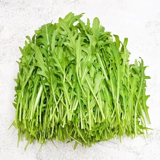 그린팜 와일드루꼴라 250g, 1개