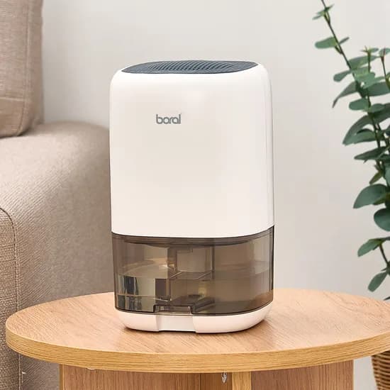 보랄 미니 제습기 BR-401DH, 1L
