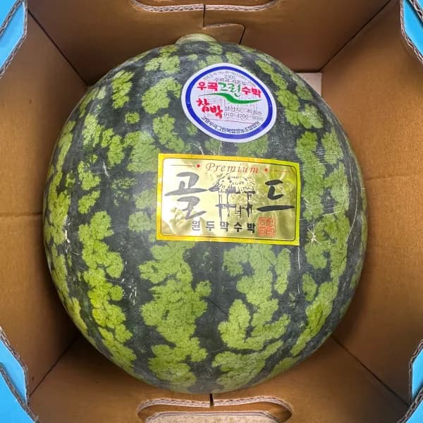 하우특래 고당도 하우스 수박 대과 7-8kg 1개