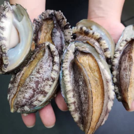 임금님 청정 완도 전복, 5-6미, 1kg, 1박스