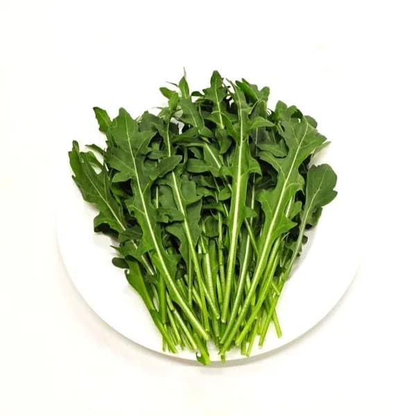 야채왕 와일드루꼴라 베이비 50g 1박스