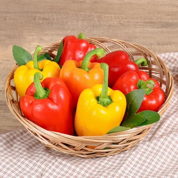국내산 가정용 파프리카 빨강/노랑 1kg