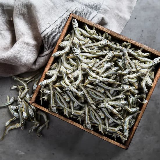 어가찬 고바 햇 멸치, 1.5kg, 1박스