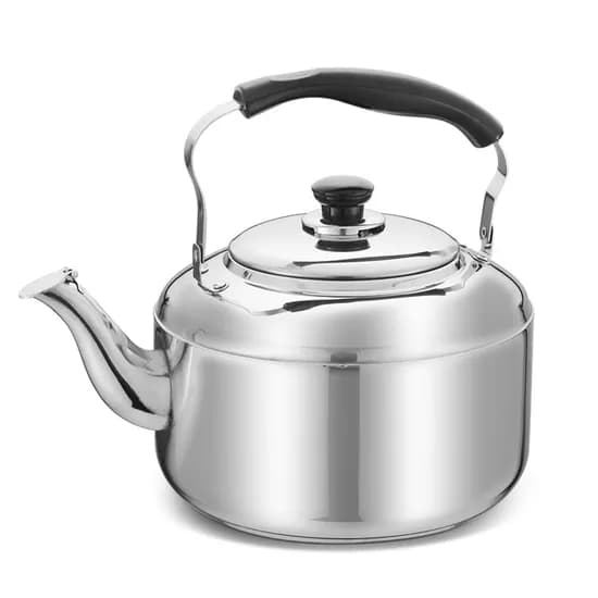 퀸센스 루미스 IH 하모니 휘슬주전자, 실버, 10L, 1개