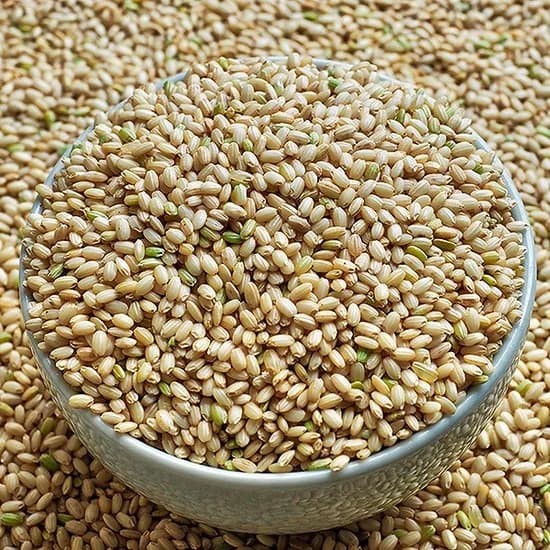 영양가득 찹쌀현미, 5kg, 1개