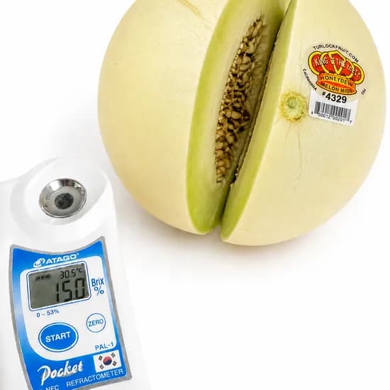 가람상점 허니듀 메론, 랜덤과, 5kg, 1박스