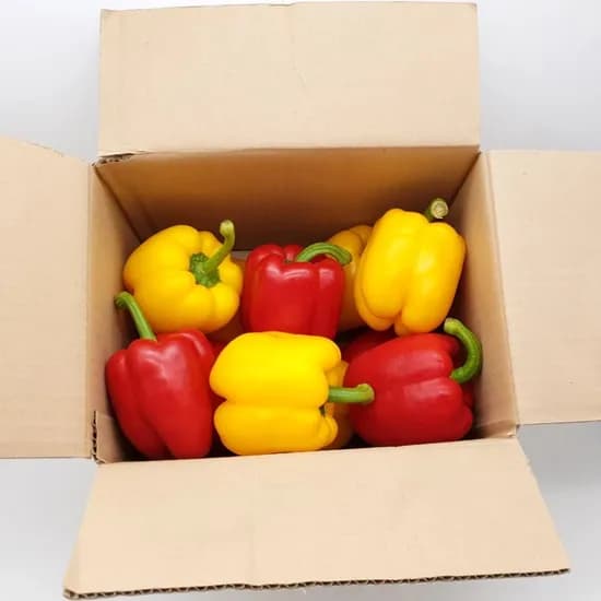의령농산 국내산 못난이 파프리카, 색상랜덤, 가정용, 1kg, 1박스