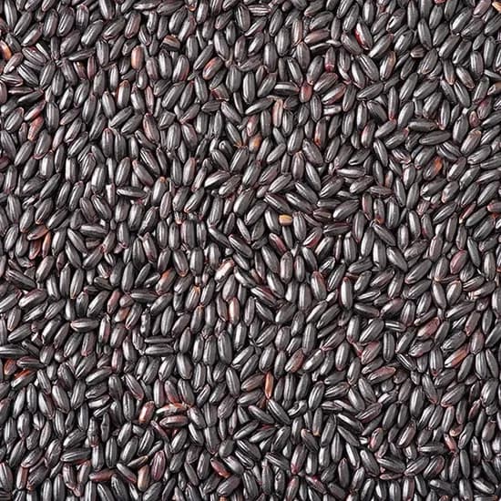 국내산 찰흑미, 2kg, 1개