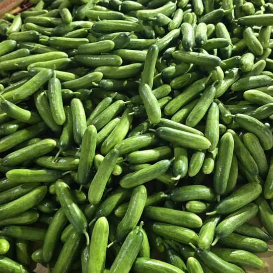 국내산 미니오이, 2kg, 1박스