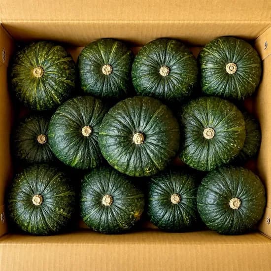 제주 미니 단호박 보우짱, 로얄과, 10kg, 1박스