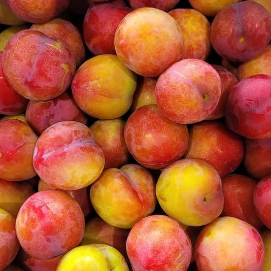 햇자두 2kg 1박스