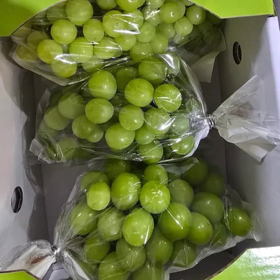 씨없는 포도 샤인머스켓 랜덤과 2kg 1개