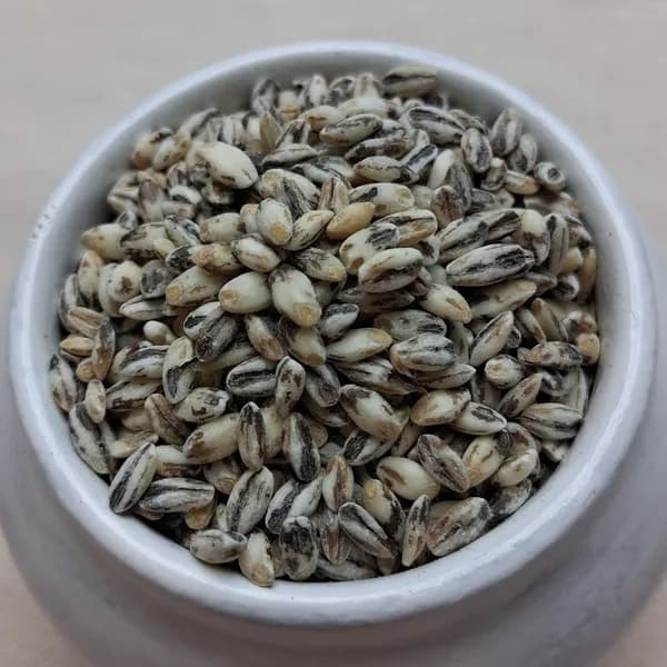 국내산 검정찰보리 2026년산 5kg 1개 20,000원