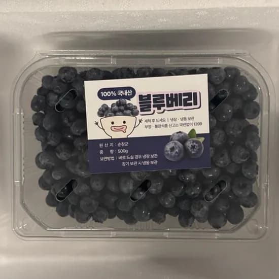 국내산 노지 블루베리, 대, 500g, 1팩