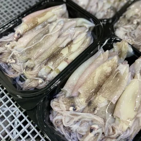 자연산 총알한치 통찜용 500g 2개