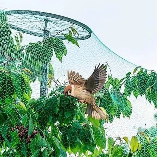 농작물 보호 방조망, 4x5m, 1개