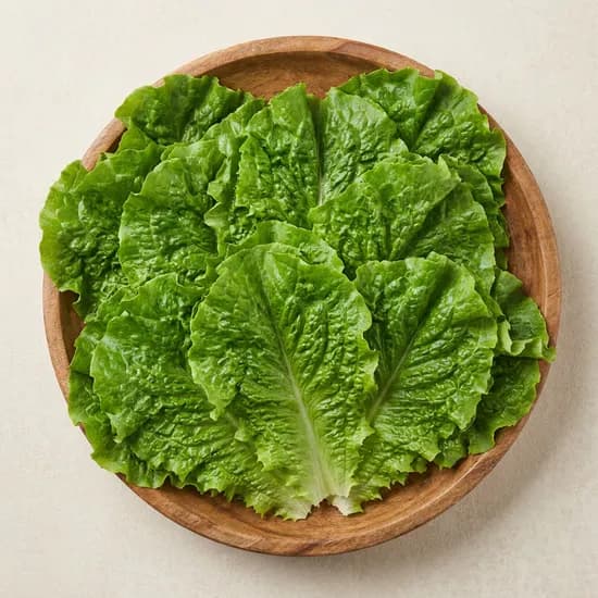 푸드빌리지 청상추 2kg 1박스