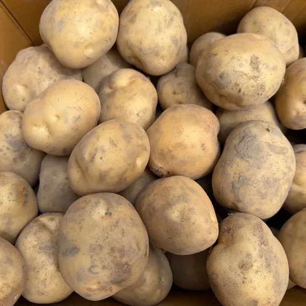 수미감자 왕특 5kg 1박스 15,900원
