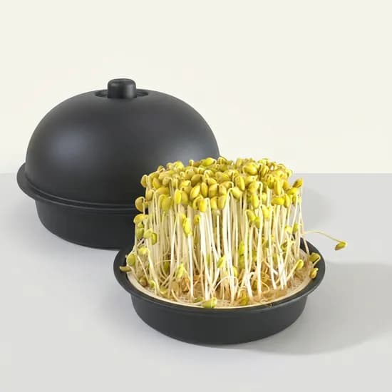 콩나물 시루 키우기 재배기 가정용 항아리, 블랙, 1개