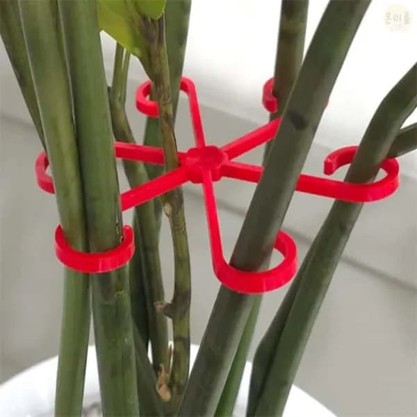 식물 지지대 블랙 4P 1개 3,800원
