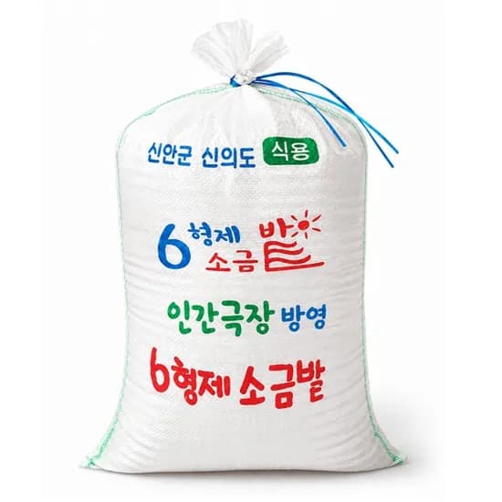 6형제소금밭 신안 천일염 굵은소금 2025년 20kg 1개