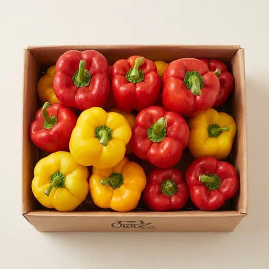 알록달록 못난이 파프리카 색상 크기 랜덤 1kg 1박스 12,900원