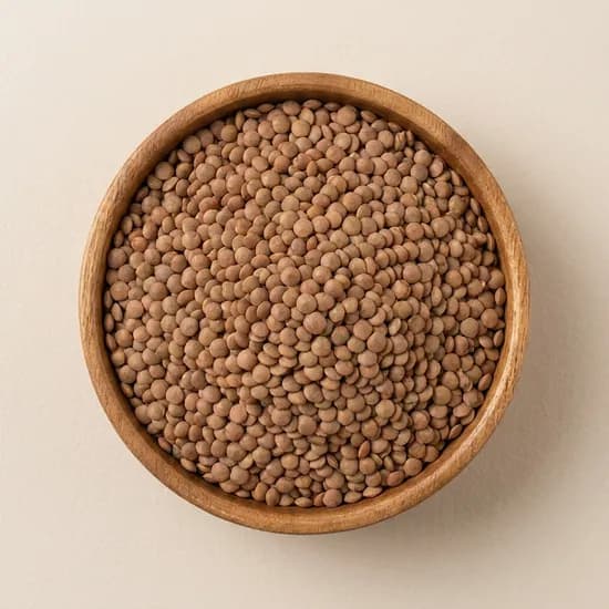착한곡물 렌틸콩 저당잡곡 5kg 1개