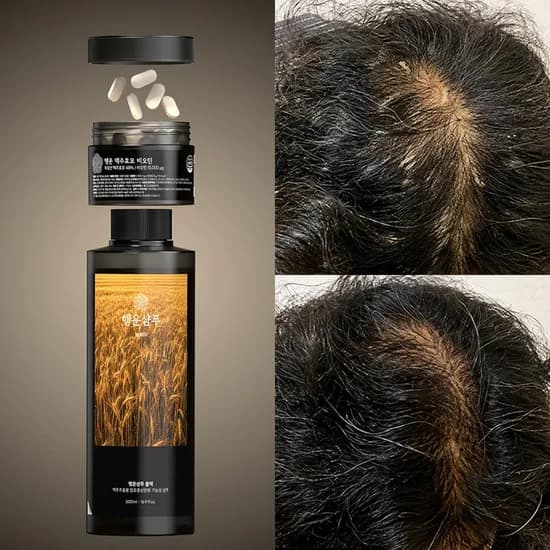 행운샴푸 블랙, 500ml, 4개