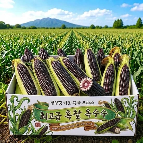 국내산 흑찰옥수수 특품 350g 30개