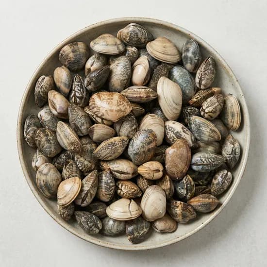 산지직송 서해안 청정지역 바지락 2kg