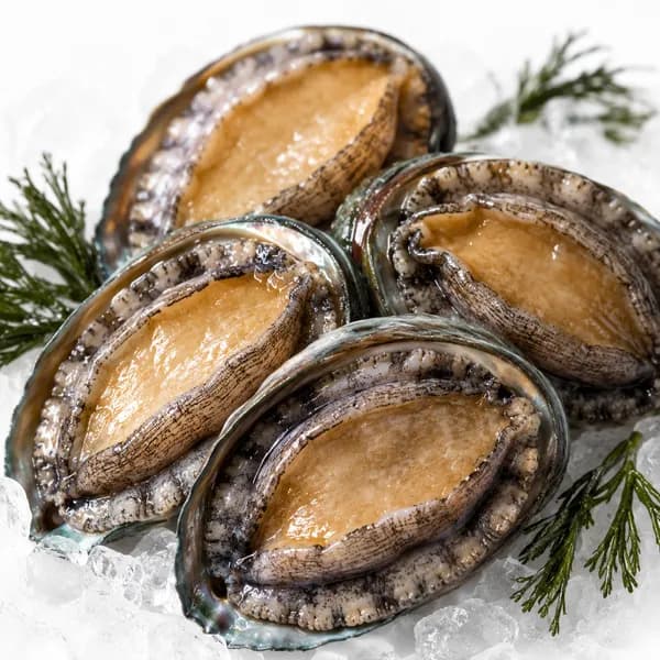 투쁠 자이언트 왕 활전복 6-7미 1kg 1팩
