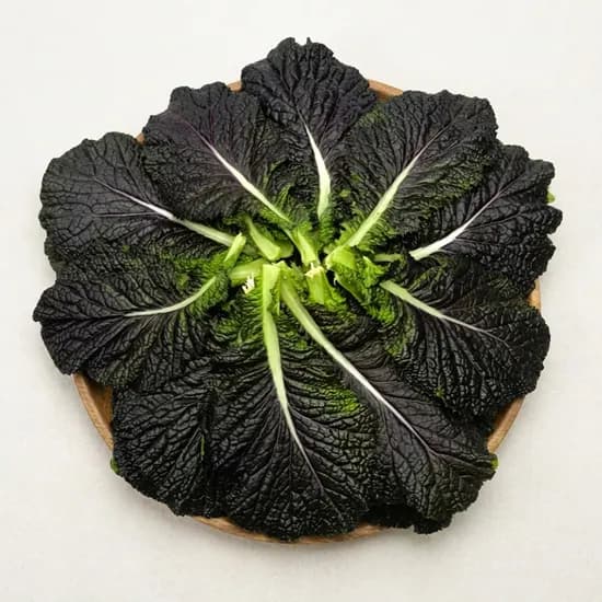 야채왕 적겨자 1kg 1개 15,300원