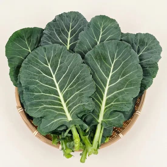야채왕 쌈 케일 300g 1개