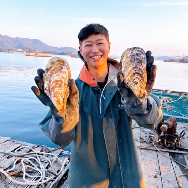 통영 삼배체굴 2kg