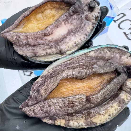 파도스토리 완도 활전복 왕특대 1kg 8-9미 2개