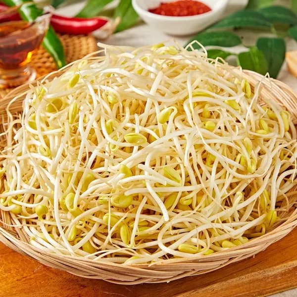 무농약 콩나물 3kg