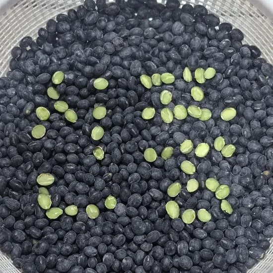 신풍애농부들 25년 국내산 햇 속청 서리태 새바람 1kg 2개