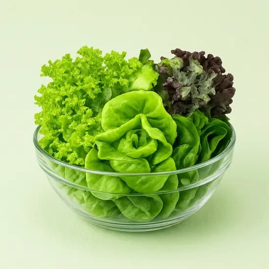 싱싱냠냠 유러피언 채소 무농약 GAP인증 쌈채소 1kg 1박스